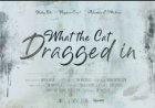 What The Cat Dragged In - by Amelia Nashe