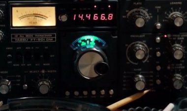 The Disembodied - by Dianna Ippolito