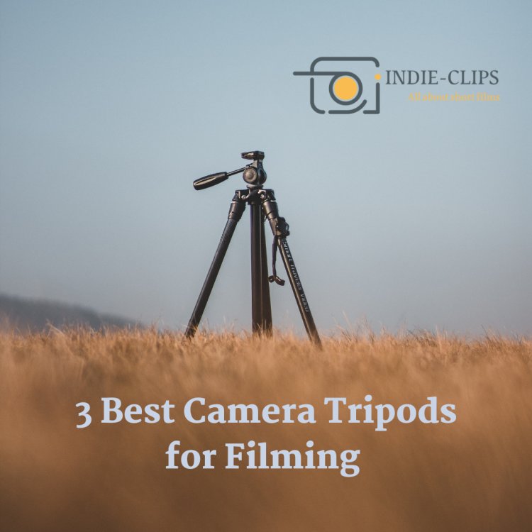3 Best Camera Tripods for Filming
