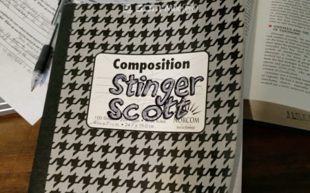 Stinger Scott - a short film by Annie Harmon