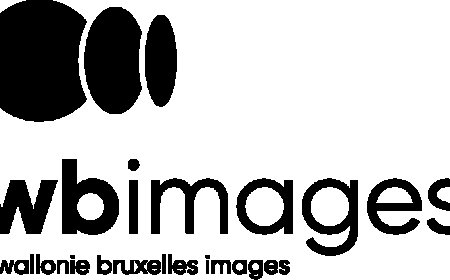 Séance de pitchs Visions du Réel : Appel à documentaires