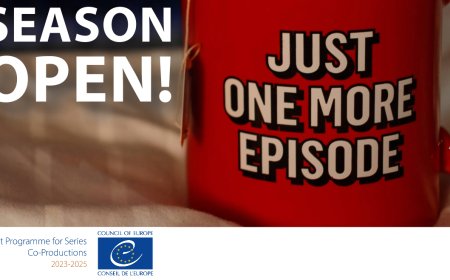 APPEL À PROJETS | Programme pilote du Conseil de l'Europe pour la coproduction de séries