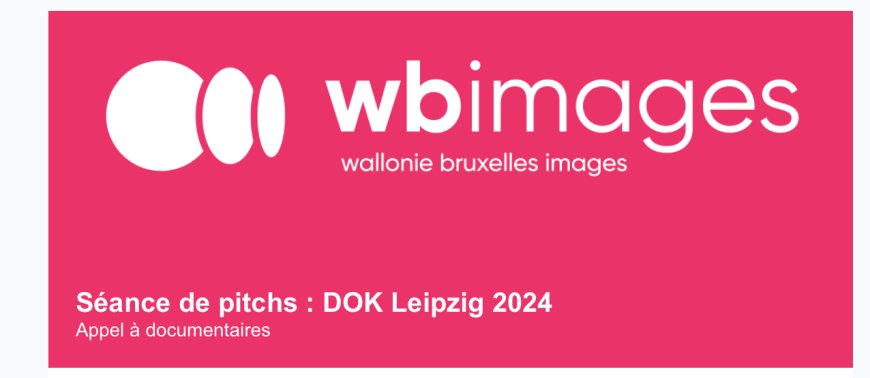 DOK Leipzig 2024 : Appel à documentaires - Séance de Pitchs