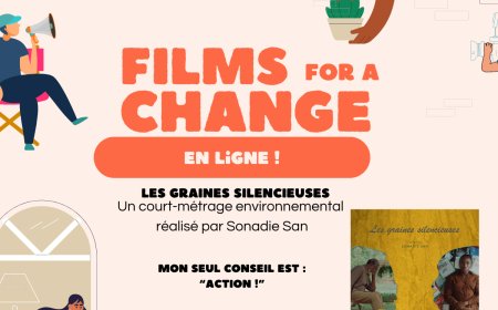Les Graines Silencieuses: Parler de l'Environnement - Interview Sonadie San